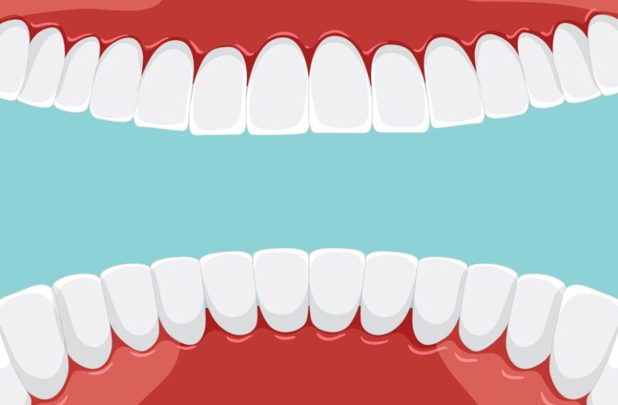 Quanti tipi diversi di denti abbiamo in bocca?