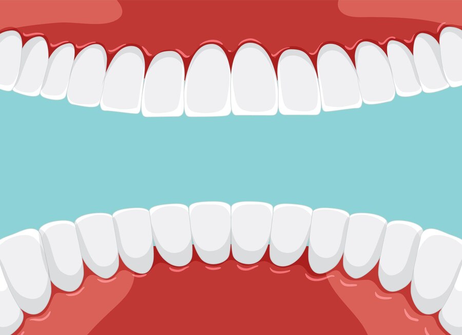 Quanti tipi diversi di denti abbiamo in bocca?